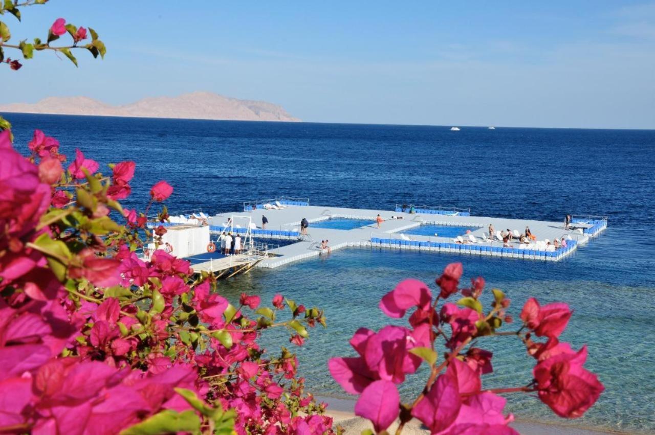 Grace House Domina Coral Bay Apartment Sharm el-Sheikh Bagian luar foto